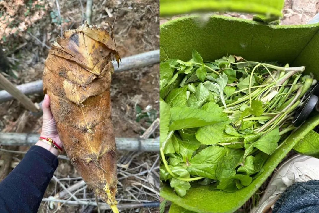 年轻人爱上“打野”:有人卖“神器”月入数万,有商家生意增长300%