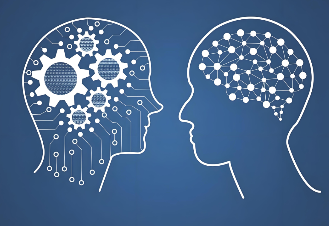 1747037509929953.png image.png